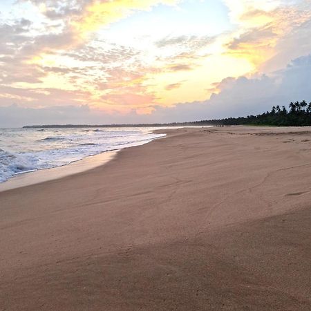 Arhimser Villa-Superb 4 Bedroom Beachfront For 8 In Ranna, Tangalle, Bb, Pool, Free Pick Up For 7 Night Stays Arriving Together, Serviced, Taxes Included Exteriör bild