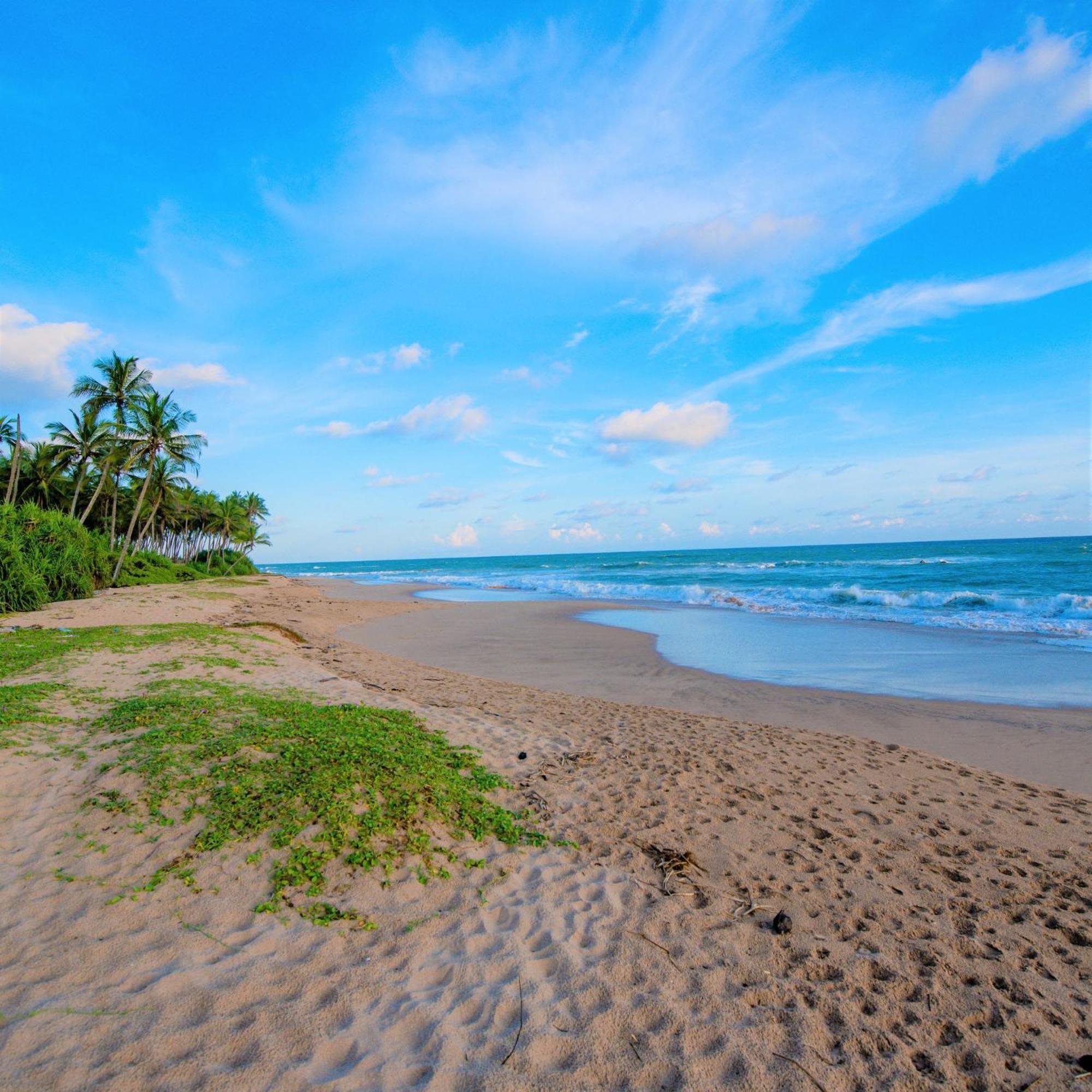 Arhimser Villa-Superb 4 Bedroom Beachfront For 8 In Ranna, Tangalle, Bb, Pool, Free Pick Up For 7 Night Stays Arriving Together, Serviced, Taxes Included Exteriör bild