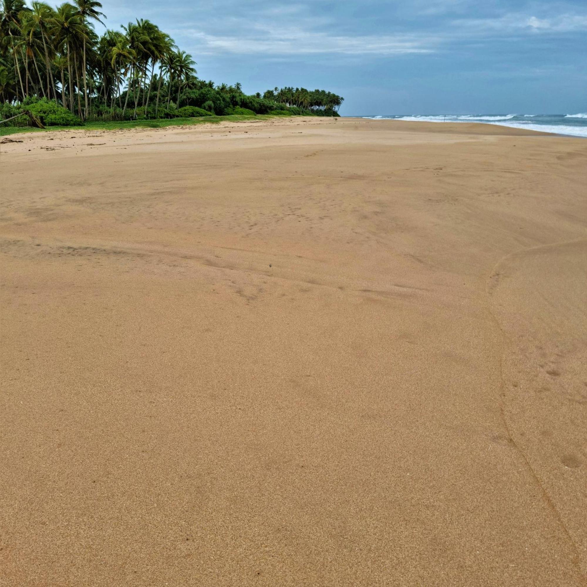Arhimser Villa-Superb 4 Bedroom Beachfront For 8 In Ranna, Tangalle, Bb, Pool, Free Pick Up For 7 Night Stays Arriving Together, Serviced, Taxes Included Exteriör bild
