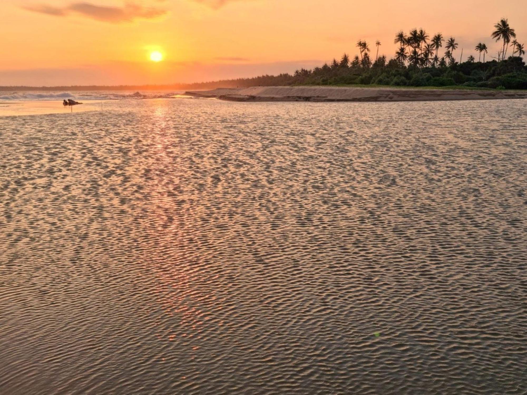 Arhimser Villa-Superb 4 Bedroom Beachfront For 8 In Ranna, Tangalle, Bb, Pool, Free Pick Up For 7 Night Stays Arriving Together, Serviced, Taxes Included Exteriör bild